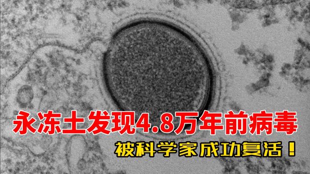 永冻土发现4.8万年前病毒,科学家担心还有更危险东西,人类该警惕!