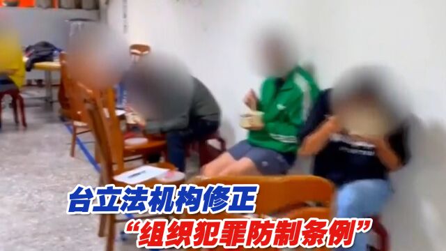 柬埔寨诈骗案震惊岛内后,台立法机构修正“组织犯罪防制条例”