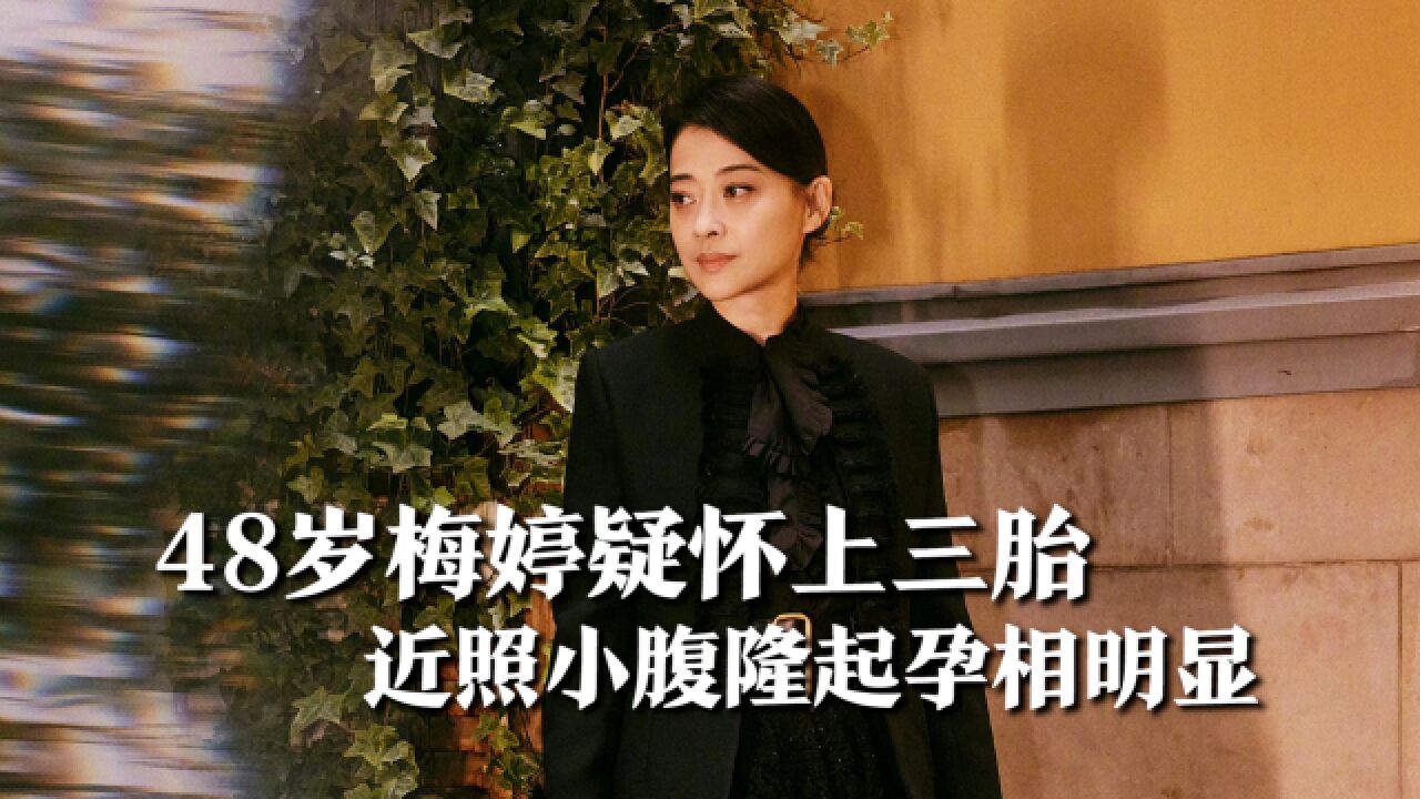 48岁梅婷晒豪宅分享美照,疑怀上三胎,近照小腹隆起孕相明显