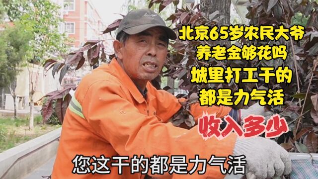 北京65岁农民大爷养老金够花吗?城里打工干的都是力气活,收入多少