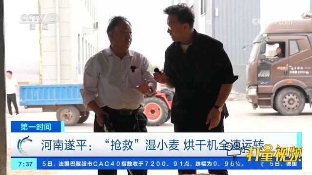 河南遂平:“抢救”湿小麦,烘干机全速运转