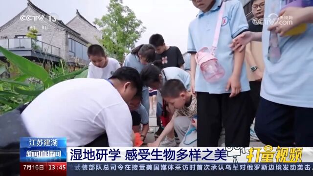 江苏建湖:湿地研学,感受生物多样之美