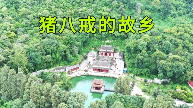 云南大山发现高老庄,难道猪八戒真存在?看下真实的猪八戒长啥样