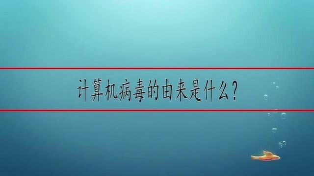 计算机病毒的由来是什么?