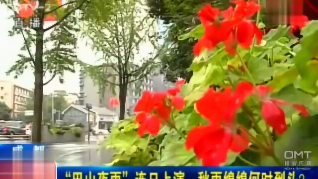 “巴山夜雨”连日上演,秋雨绵绵何时到头?市民有不同看法