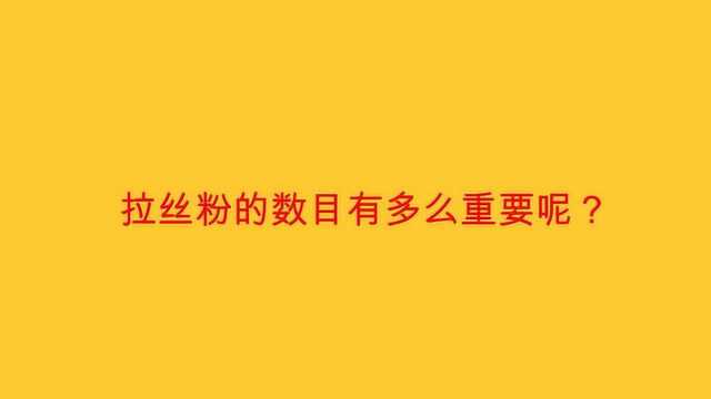 拉丝粉的数目有多么重要呢?