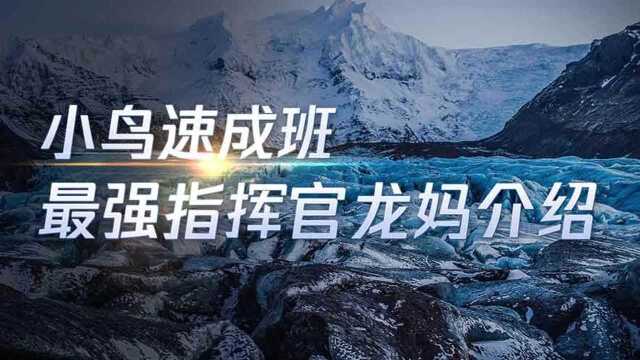 小鸟指挥官 最强指挥官 龙妈介绍