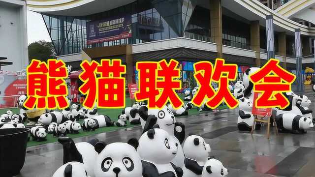 四川省达州市大竹县金山国际街头惊现好多的大熊猫,熊猫嘉年华?