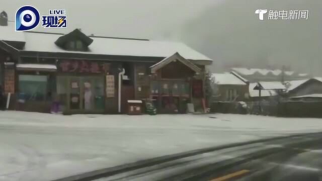 第一场雪!鹅毛大雪在寒露当天降临黑龙江,雪花覆盖下如童话小镇