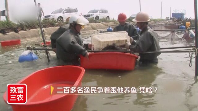 怎样把鱼卖出高价?养殖户集体入股饲料厂,打造绿色生态养殖