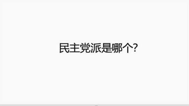 民主党派是哪个?