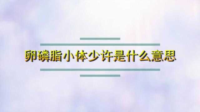 卵磷脂小体少许是什么意思