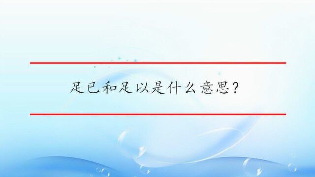 足已和足以是什么意思?