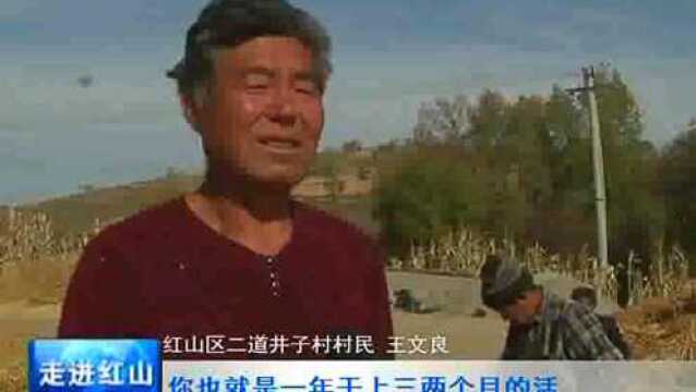 《爱国情 奋斗者 出彩能人》王文良:耕耘土地 收获希望