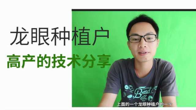 龙眼种植户高产的技术分享,对果园种龙眼的朋友,挺有借鉴作用的