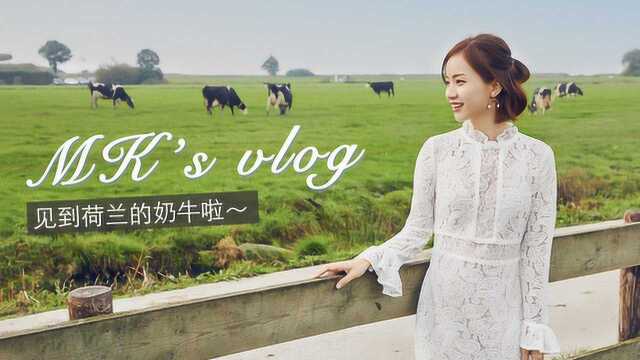 荷兰VLOG|去牧场看奶牛、游风车村,美到舍不得走!