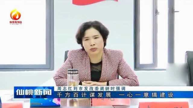 仙桃:周志红到市发改委调研