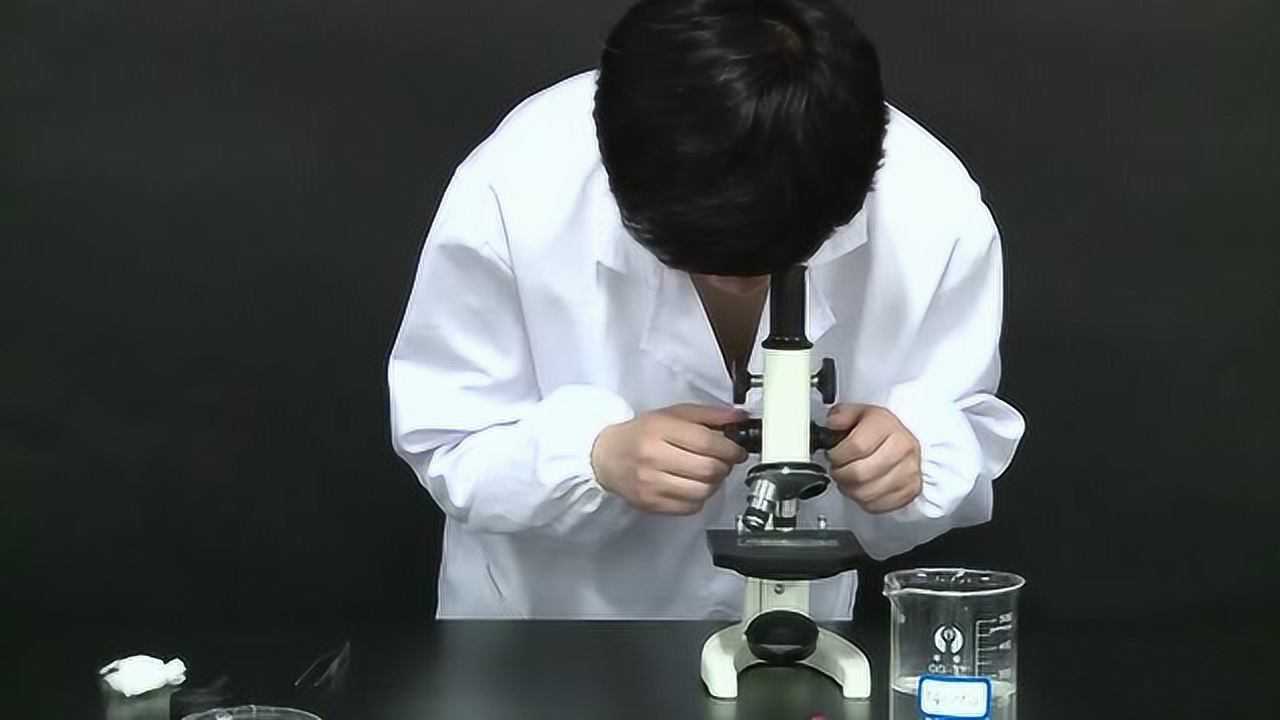 7实验探究七观察草履虫_高清