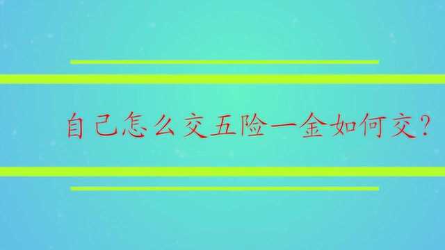 自己怎么交五险一金如何交?