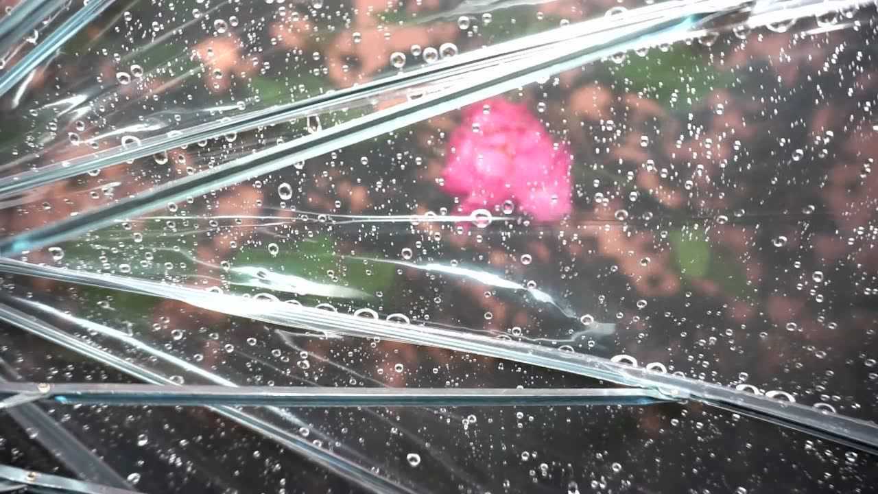 30分钟的大自然雨声_腾讯视频