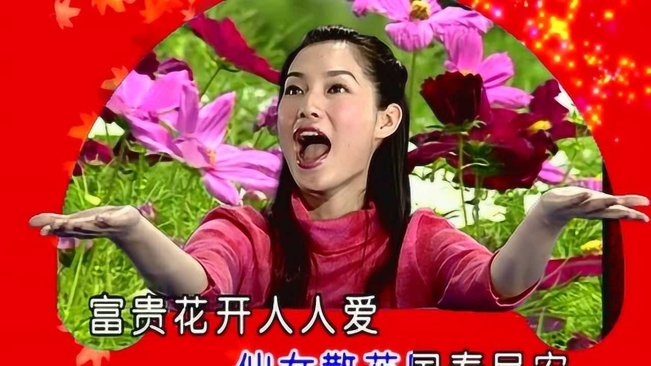 小凤凤mtv《春花美丽》闽南语贺新年花仙子文化音乐童欣儿歌舞蹈新年
