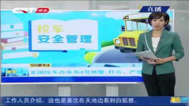 全国校车办发布4号预警:打击、严惩“黑校车”