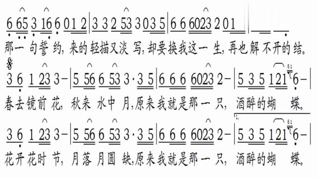 酒醉的蝴蝶简谱,想练歌曲又不知道曲谱,这里有现成的曲谱等着你