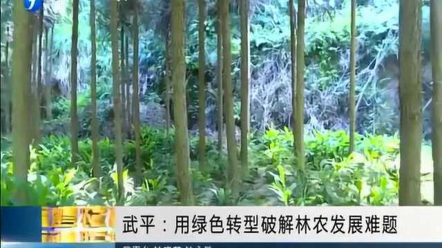 “机智”老农用绿色转型轻松破解林农发展难题