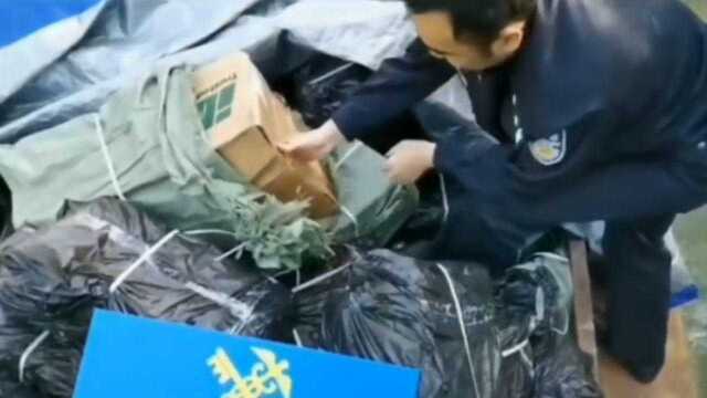 出警110人,湛江海关侦破案值2400万元400吨冻品走私案