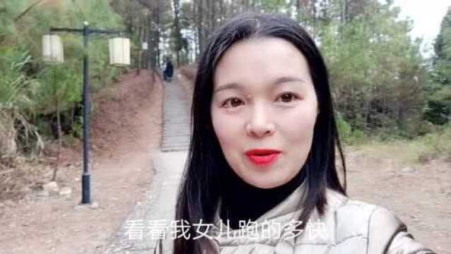 周末打卡金鸡寨公园,山上的狗尾巴花自由自在随风飘动,好看