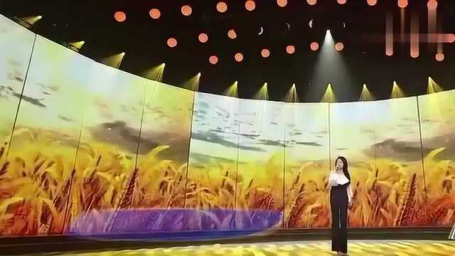 歌曲《风吹麦浪》演唱:金婷婷