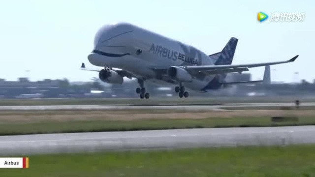 空客最大款运输飞机Airbus BelugaXL超级大白鲸!