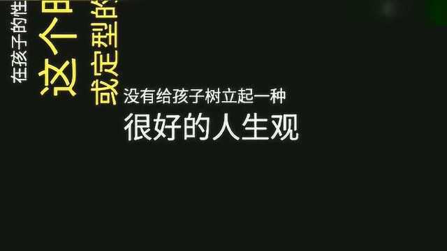 李玫瑾教授:孩子在成长过程中树立正确的人生观意义如此重大