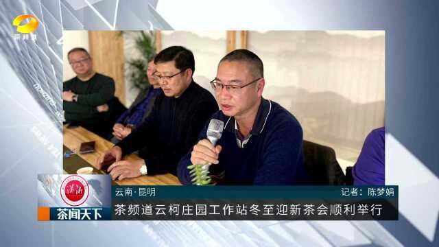 云南昆明:茶频道云柯庄园工作站冬至迎新茶会顺利举行