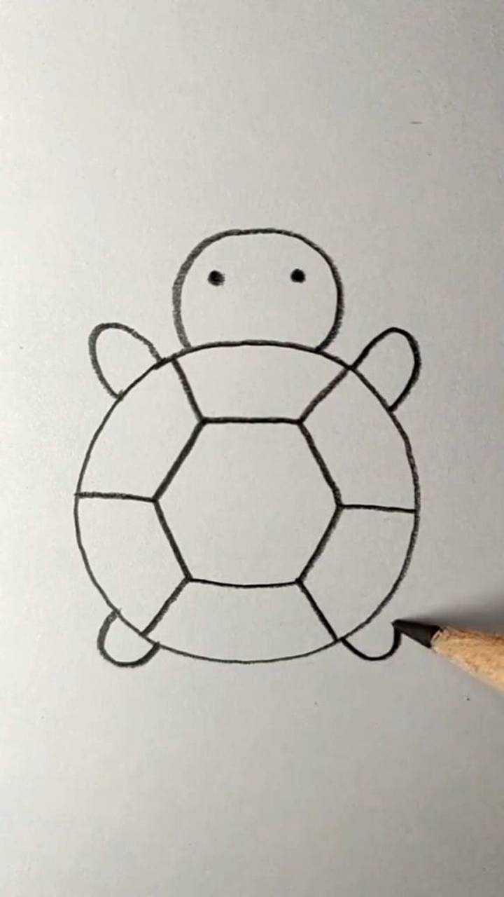金龟子的简笔画 简单图片