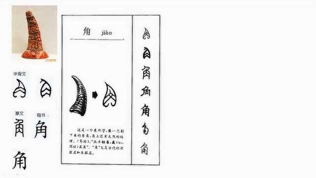 舒阳同学聊汉字22角