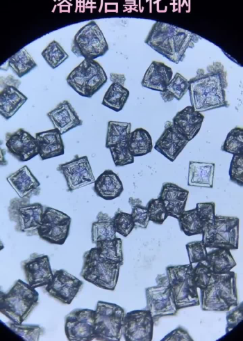 将食用盐在显微镜下放大,观察盐的颗粒,晶体规则超级漂亮!