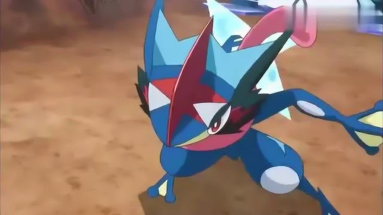 神奇宝贝蜥蜴王与忍者蛙双双mega进化战斗精彩值得载入史册