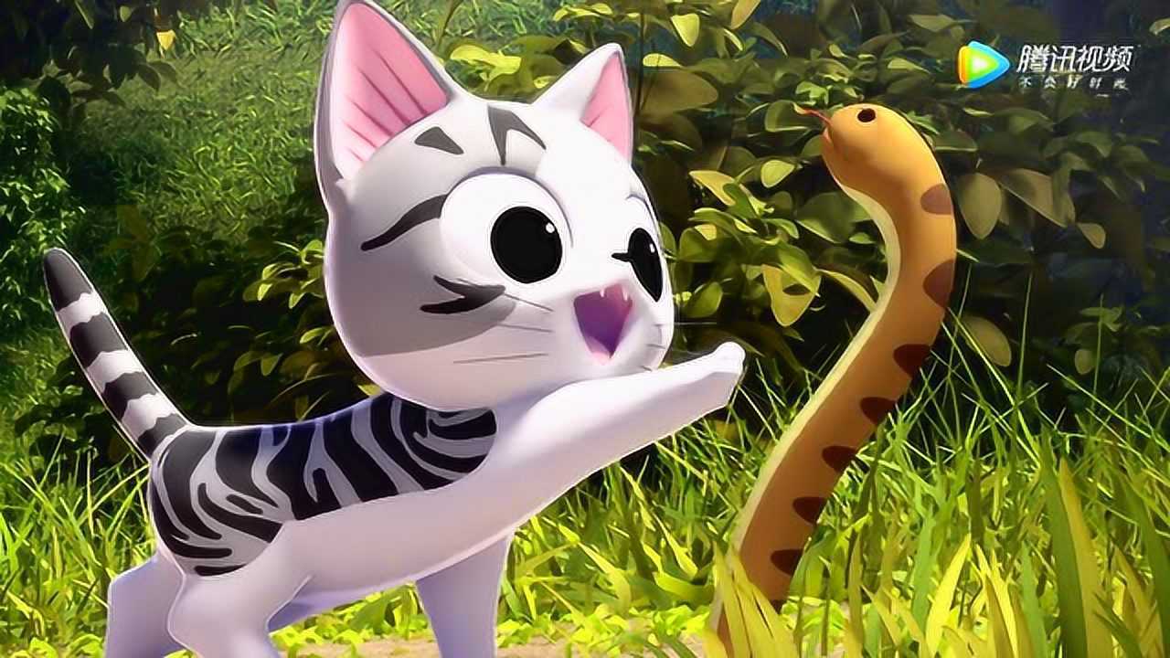 甜甜私房猫小奇你很喜欢蛇吗
