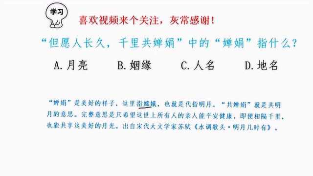 “但愿人长久,千里共婵娟”中“婵娟”指什么?