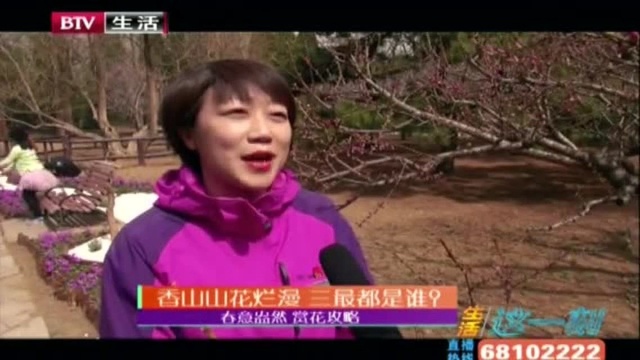 春意盎然赏花攻略 香山山花烂漫!