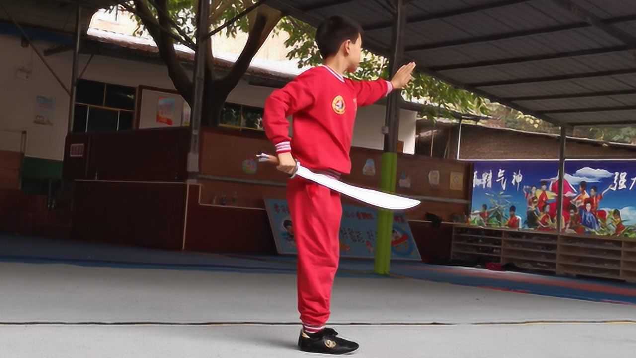 育儿运动篇:武术小子杨振兴刀术初步训练片段