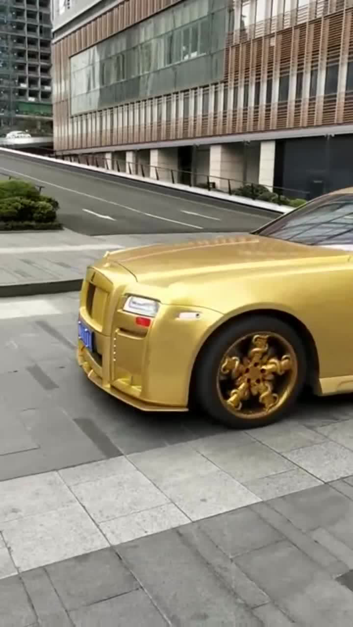 豹子号黄金劳斯莱斯一个标志二十万我就要奋斗十年