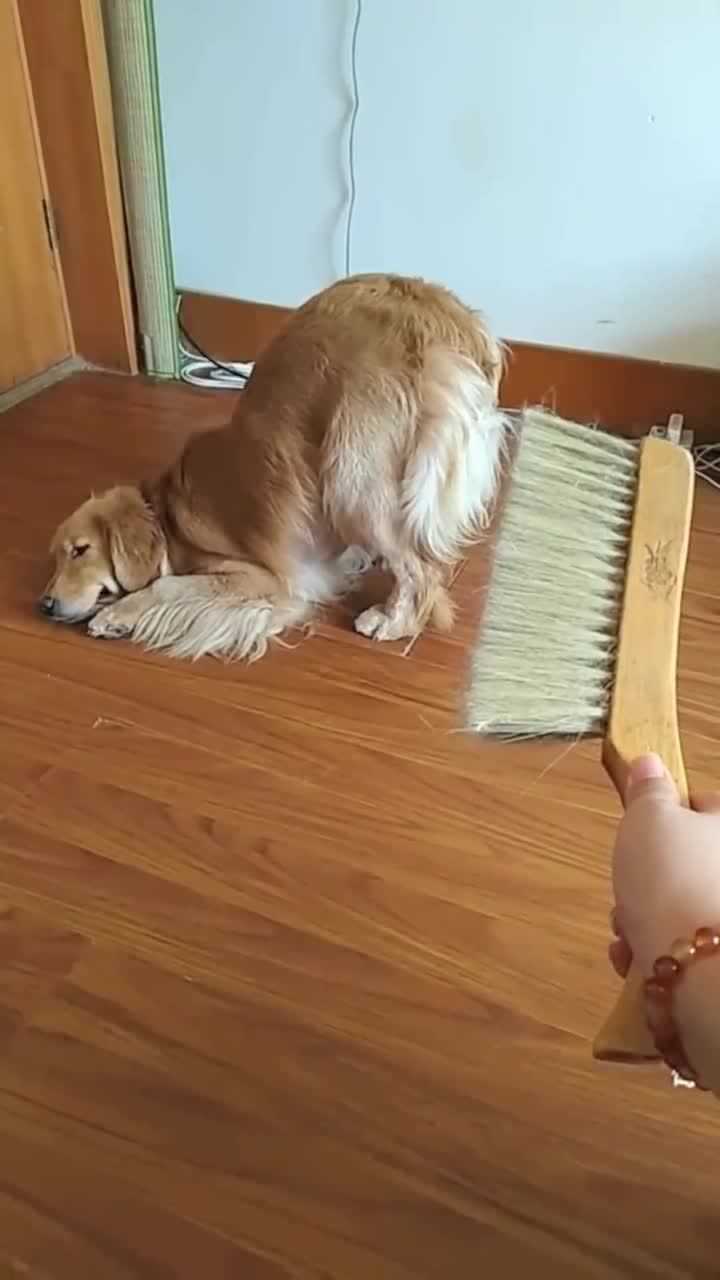 腾讯网