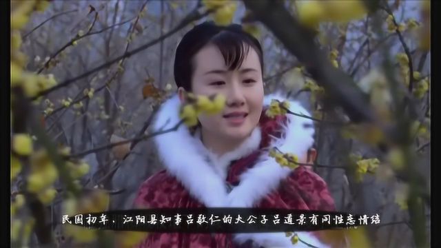 一部关于人性的国产电影,美女嫁了同性恋丈夫,结婚多年依然处子之身