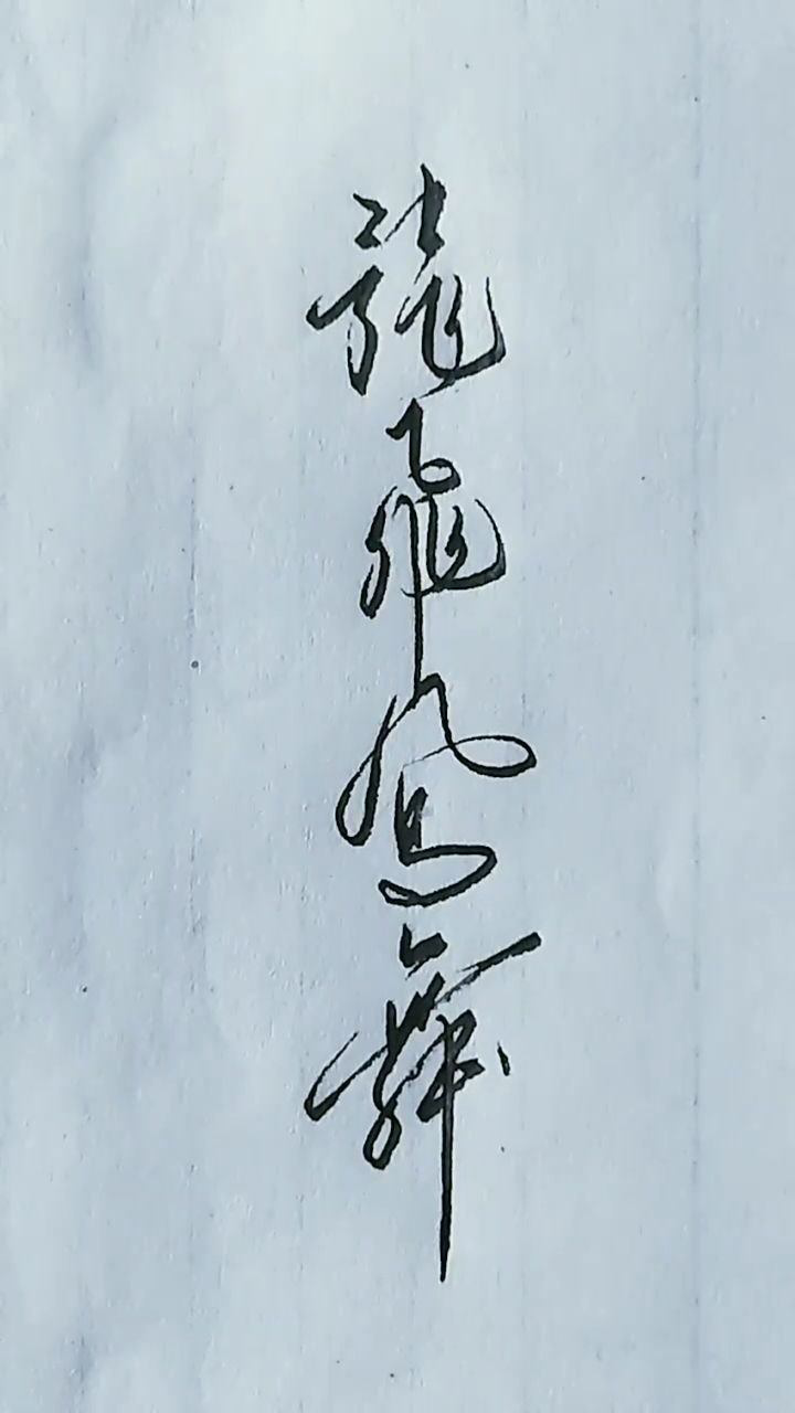 硬笔书法龙飞凤舞