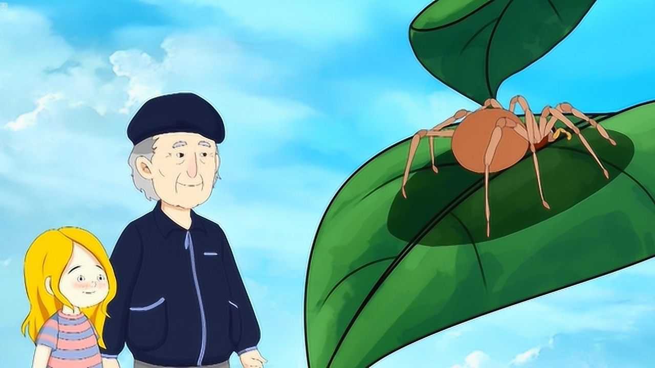 艾伦教授的魔法纸牌 8集