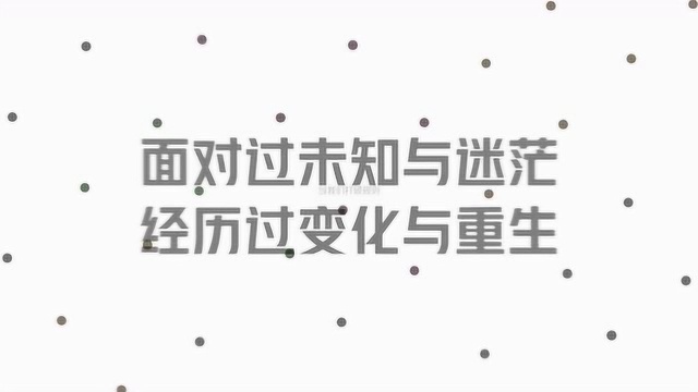 脉脉2019中国职场年度盘点视频