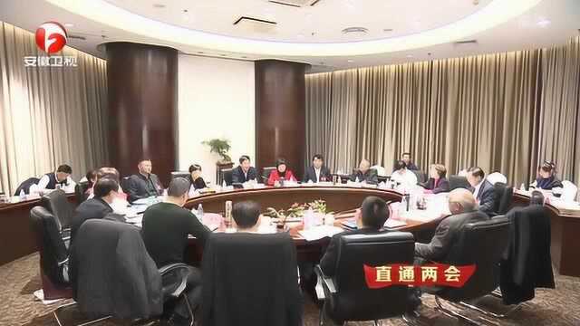 安徽省各地:凝心聚力全面提升履职效能 建睿智之言 献务实之策