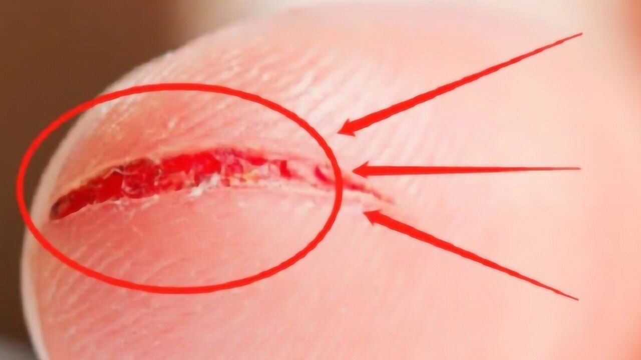 3d动画还原全过程,看完简直大开眼界